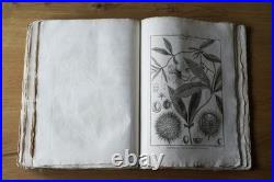 9 livres anciens encyclopédie méthodique Panckoucke botanique 300 gravures 1783