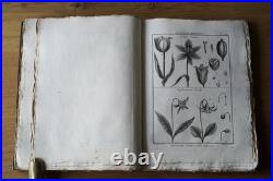 9 livres anciens encyclopédie méthodique Panckoucke botanique 300 gravures 1783
