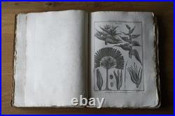 9 livres anciens encyclopédie méthodique Panckoucke botanique 300 gravures 1783
