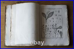 9 livres anciens encyclopédie méthodique Panckoucke botanique 300 gravures 1783