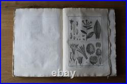 9 livres anciens encyclopédie méthodique Panckoucke botanique 300 gravures 1783