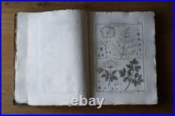 9 livres anciens encyclopédie méthodique Panckoucke botanique 300 gravures 1783