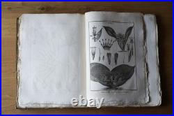 9 livres anciens encyclopédie méthodique Panckoucke botanique 300 gravures 1783