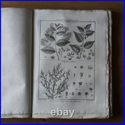 9 livres anciens encyclopédie méthodique Panckoucke botanique 300 gravures 1783