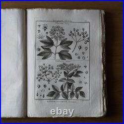 9 livres anciens encyclopédie méthodique Panckoucke botanique 300 gravures 1783