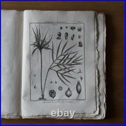 9 livres anciens encyclopédie méthodique Panckoucke botanique 300 gravures 1783