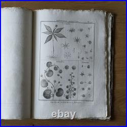 9 livres anciens encyclopédie méthodique Panckoucke botanique 300 gravures 1783