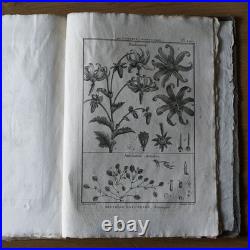 9 livres anciens encyclopédie méthodique Panckoucke botanique 300 gravures 1783