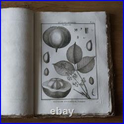 9 livres anciens encyclopédie méthodique Panckoucke botanique 300 gravures 1783