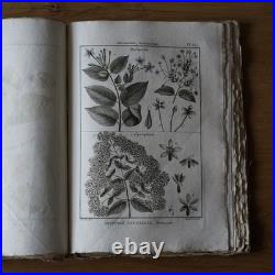 9 livres anciens encyclopédie méthodique Panckoucke botanique 300 gravures 1783