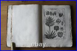 9 livres anciens encyclopédie méthodique Panckoucke botanique 300 gravures 1783