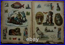 Album de collections. Chromos & découpis. 19 ème