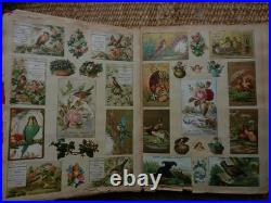 Album de collections. Chromos & découpis. 19 ème