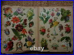 Album de collections. Chromos & découpis. 19 ème