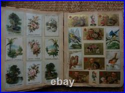 Album de collections. Chromos & découpis. 19 ème