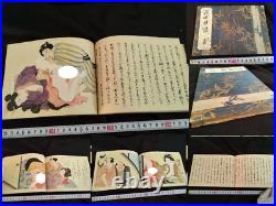 Antique Japon Shunga Papier Photo Sur Livre Ukiyoe Erotique Bloc de Bois