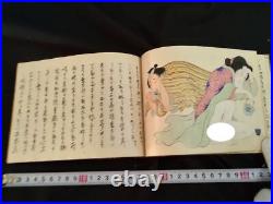 Antique Japon Shunga Papier Photo Sur Livre Ukiyoe Erotique Bloc de Bois