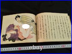 Antique Japon Shunga Papier Photo Sur Livre Ukiyoe Erotique Bloc de Bois