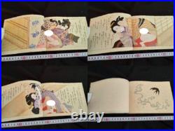 Antique Japon Shunga Papier Photo Sur Livre Ukiyoe Erotique Bloc de Bois