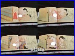 Antique Japon Shunga Papier Photo Sur Livre Ukiyoe Erotique Bloc de Bois