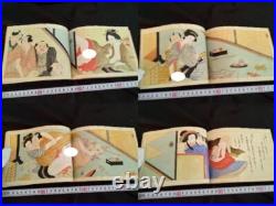 Antique Japon Shunga Papier Photo Sur Livre Ukiyoe Erotique Bloc de Bois