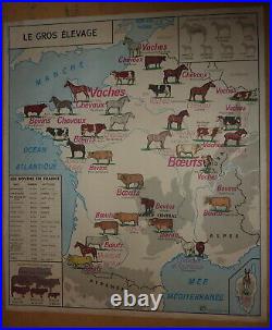 Carte affiche scolaire FRANCE Gros élevage Rhône + Cadre en bois