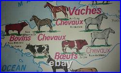 Carte affiche scolaire FRANCE Gros élevage Rhône + Cadre en bois