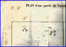 Grand Plan Original (57 cm X 44) Parcelles du Chateau Lafite. Fin XIXème. RARE++