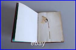 Herbier Ancien recueil de plantes