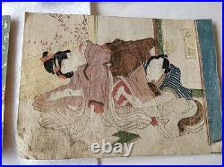 Japonais Shunga 2 Soie Image Siège Et 10 Papier Ensemble Ukiyoe Erotic-d0528