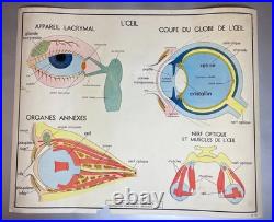 LOT de 10 Anciennes Affiches Scolaires Pédagogiques / Tableaux d'élocution
