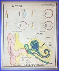 LOT de 10 Anciennes Affiches Scolaires Pédagogiques / Tableaux d'élocution
