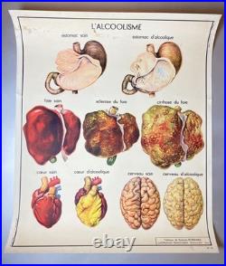 LOT de 10 Anciennes Affiches Scolaires Pédagogiques / Tableaux d'élocution