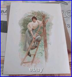 Lot de 11 grands chromos/images début 1900 Idéales pour être encadrées