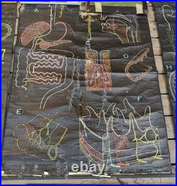 Lot de 8 affiches scolaires anciennes auzoux p. Sougy 1947-1957 anatomie biolo