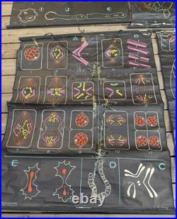 Lot de 8 affiches scolaires anciennes auzoux p. Sougy 1947-1957 anatomie biolo