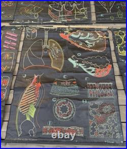 Lot de 8 affiches scolaires anciennes auzoux p. Sougy 1947-1957 anatomie biolo
