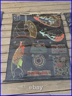 Lot de 8 affiches scolaires anciennes auzoux p. Sougy 1947-1957 anatomie biolo