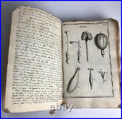 Manuscrit de classification botanique XIXE