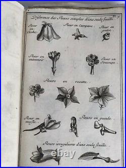 Manuscrit de classification botanique XIXE